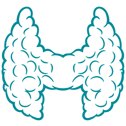 maladies endocriniennes