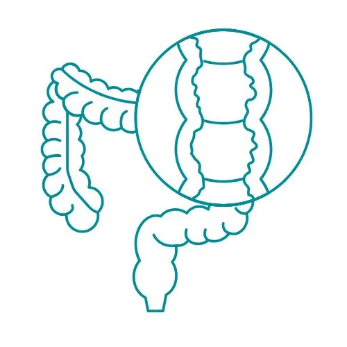 maladie de Crohn icône