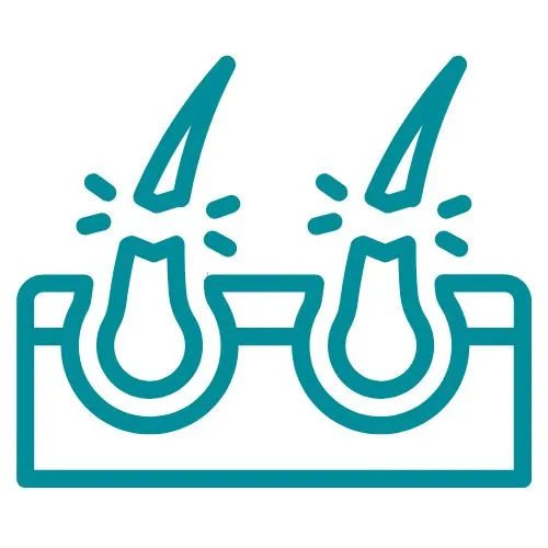 alopécie androgénétique icône