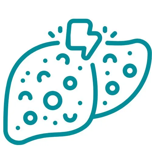 cirrhose du foie icône