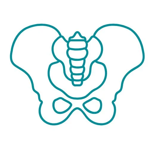 douleurs pelviennes icône