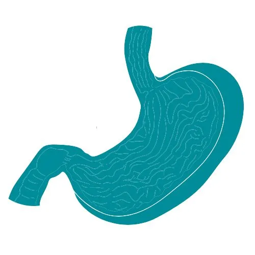 gastroparésie icône