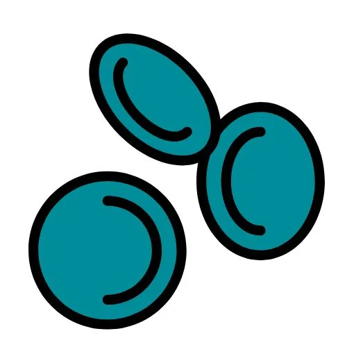 hémochromatose icône