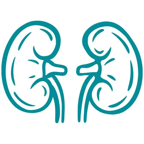 insuffisance rénale icône