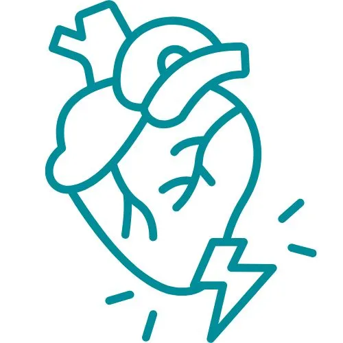 maladies cardiovasculaires icône