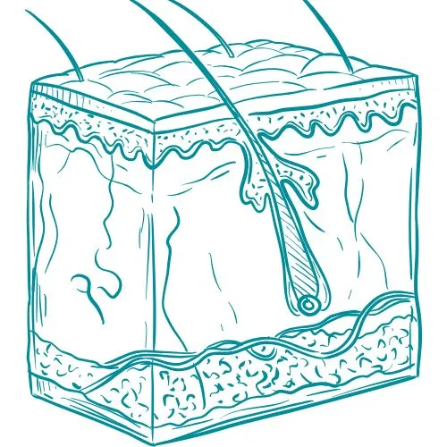 maladies de la peau icône