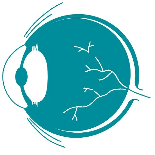 maladies des yeux icône