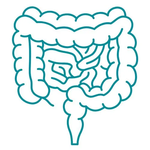 maladies digestives icône