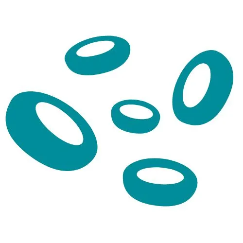 maladies du sang icône