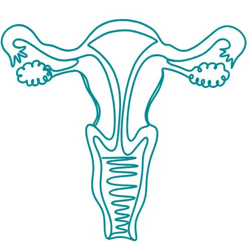 maladies gynécologiques, maladies urologiques icône