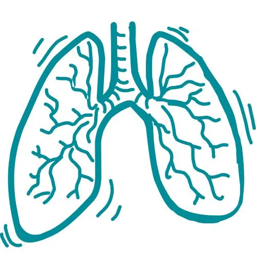 maladies respiratoires icône