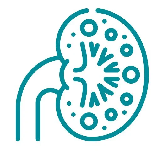 polykystose rénale icône