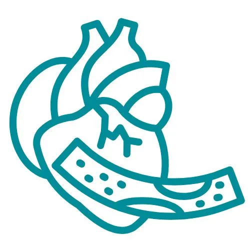 maladie coronarienne icône