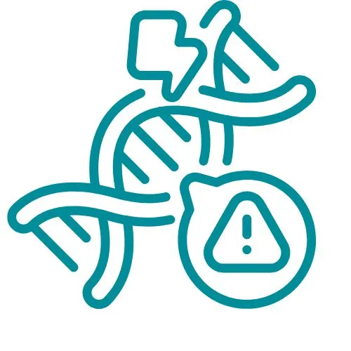 maladie de Castleman icône