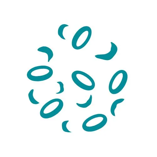 maladie de von Willebrand icône