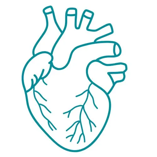 maladies cardiovasculaires icône