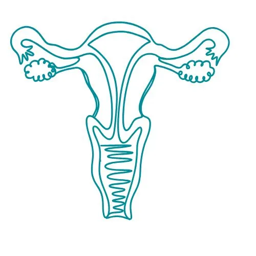 maladies gynécologiques et urologiques icône