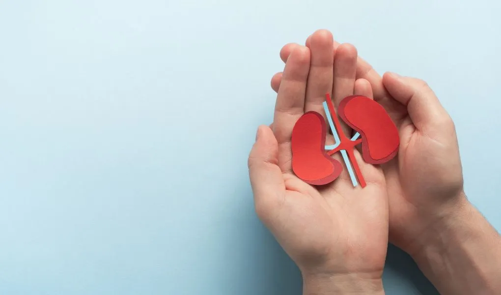 néphropathie diabétique